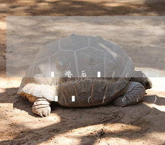 離婚后財(cái)產(chǎn)糾紛訴訟費(fèi)收費(fèi)標(biāo)準(zhǔn)(離婚后財(cái)產(chǎn)訴訟費(fèi)怎么算)