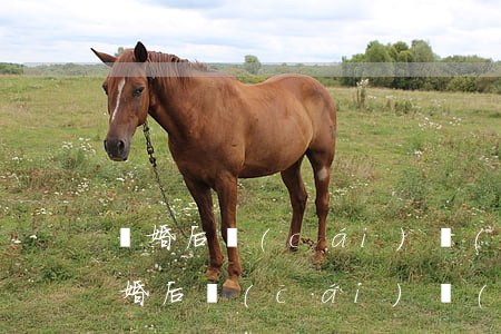 離婚后財(cái)產(chǎn)糾紛(離婚后財(cái)產(chǎn)糾紛)
