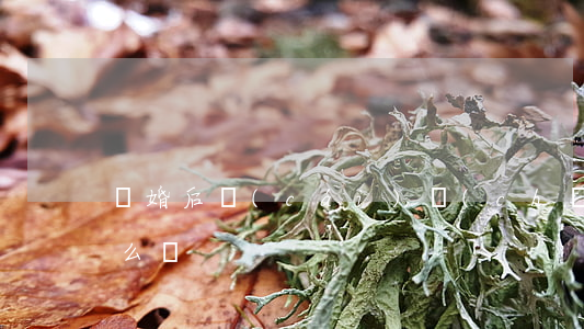 離婚后財(cái)產(chǎn)隱藏怎么辦