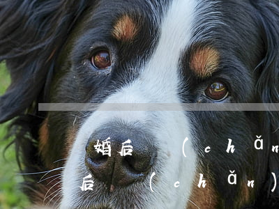 離婚后財產(chǎn)官司起訴時間(離婚后財產(chǎn)糾紛起訴后多久開庭)