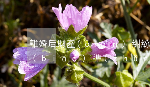 離婚后財產(chǎn)糾紛訴訟費收費標(biāo)準(zhǔn)(離婚后財產(chǎn)訴訟費怎么算)