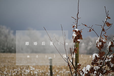離婚后買(mǎi)車(chē)怎么買(mǎi)保險(xiǎn)(車(chē)是自己買(mǎi)的離婚怎么辦)