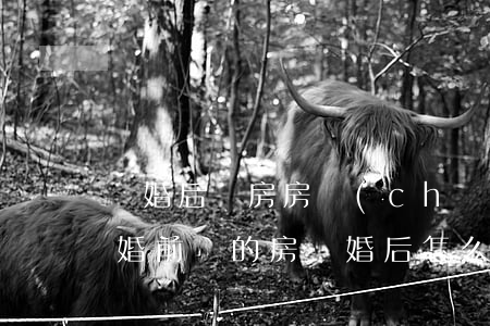離婚后買房房產(chǎn)證怎么分割(離婚前買的房,離婚后怎么辦房產(chǎn)證)