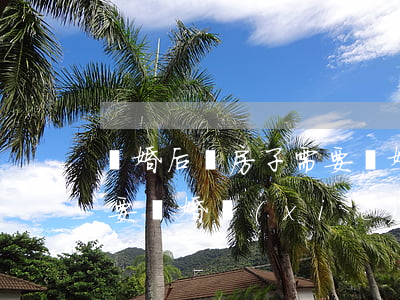 離婚后賣房子需要離婚證嗎(離婚后賣房子需要離婚協(xié)議嗎)