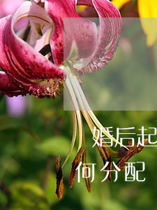 離婚后起訴分割債務的費用(起訴離婚債務如何分配)