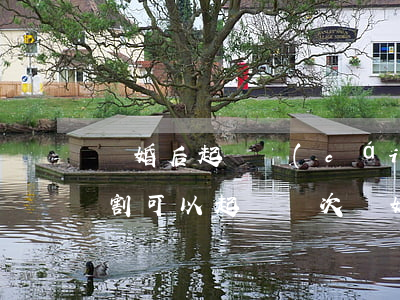 離婚后起訴財(cái)產(chǎn)分割可以起訴幾次(離婚后在起訴財(cái)產(chǎn)分割問(wèn)題 訴訟費(fèi)多少錢)