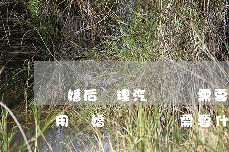 離婚后辦理汽車過戶需要什么費(fèi)用(離婚車輛過戶需要什么手續(xù))