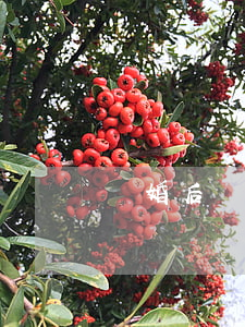 離婚后農(nóng)村有房子戶口怎么辦