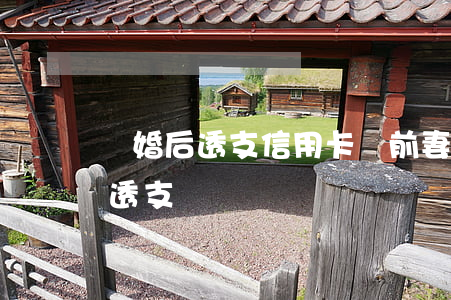 離婚后透支信用卡給前妻(自己信用卡被前夫透支)