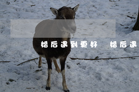 離婚后遇到更好(離婚后遇到更好的人說說)