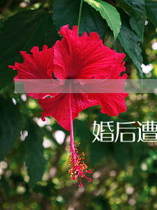 離婚后遭前夫恐嚇(離婚后前夫騷擾)
