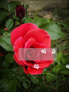 離婚后遺漏轉(zhuǎn)賬記錄還可以起訴嗎(婚內(nèi)轉(zhuǎn)賬記錄還能還嗎)