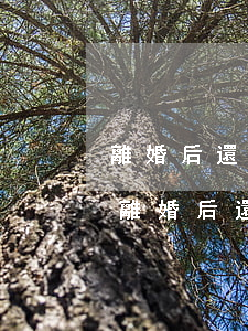 離婚后還可以訴訟財產(chǎn)分割嗎(離婚后還可以起訴分割共同財產(chǎn)嗎)