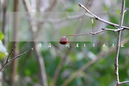 離婚后還同居30天怎么辦