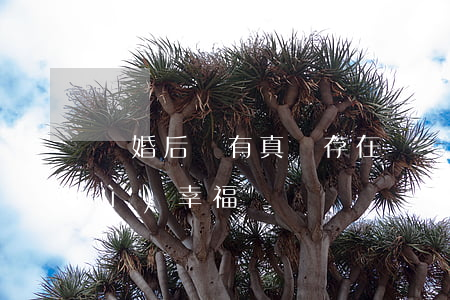 離婚后還有真愛存在嗎(離婚后真的會(huì)幸福嗎)