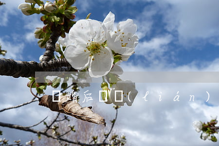 離婚后還聯(lián)系嗎
