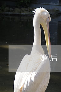 離婚后還能繼承對方財產(chǎn)嗎