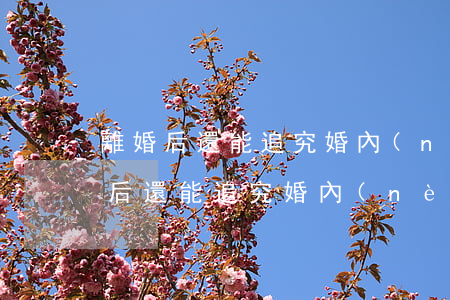 離婚后還能追究婚內(nèi)出軌嗎(離婚后還能追究婚內(nèi)出軌嗎)