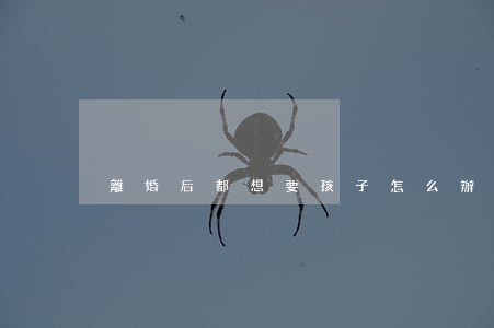 離婚后都想要孩子怎么辦