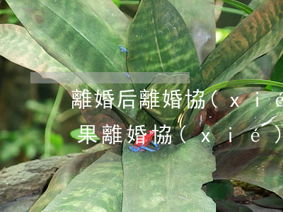 離婚后離婚協(xié)議書掉了怎么辦(如果離婚協(xié)議書丟了怎么辦)