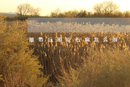 離婚后頭旋右偏怎么辦