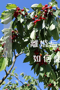 離婚后養(yǎng)老保險(xiǎn)如何繳納(離婚養(yǎng)老保險(xiǎn)金怎么分)