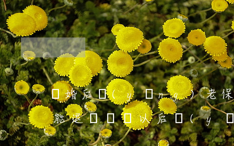 離婚后養(yǎng)老保險(xiǎn)能退嗎(辭職以后養(yǎng)老保險(xiǎn)可以退嗎)