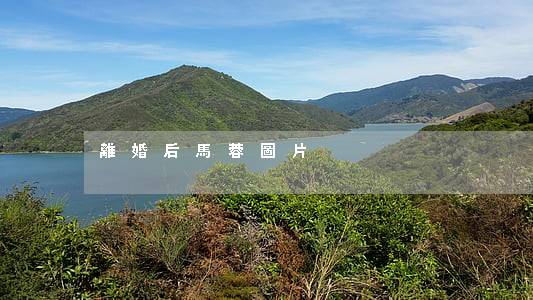 離婚后馬蓉圖片