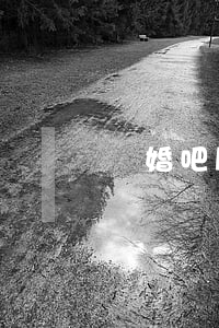 離婚吧殿下