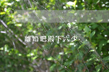 離婚吧殿下六少