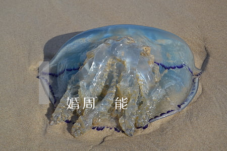 離婚周幾能辦