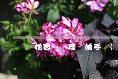 離婚周幾辦理離婚手續(xù)