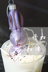 離婚和律師都談些什么問(wèn)題(離婚和律師都談些什么問(wèn)題)