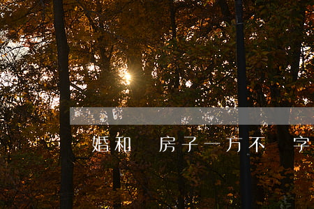 離婚和賣房子一方不簽字怎么辦
