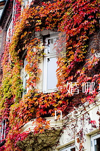 離婚哪些錢可以追回(離婚后可以追回婚內(nèi)財(cái)產(chǎn)嗎)