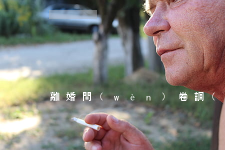離婚問(wèn)卷調(diào)查