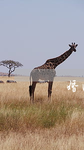 離婚回娘家吃住一年怎么辦