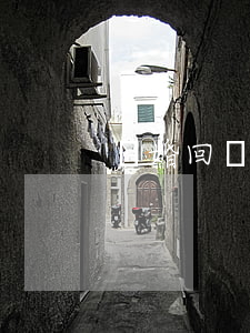 離婚回歸家庭小暖男(離婚回歸家庭小暖男)