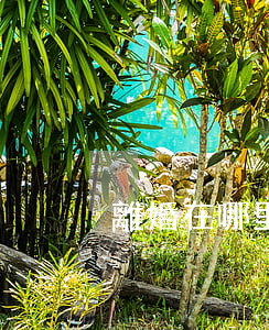 離婚在哪里辦手續(xù)