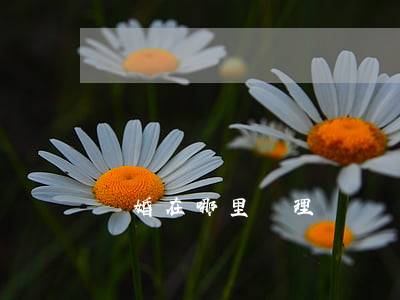 離婚在哪里辦理