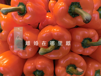 離婚在哪里離