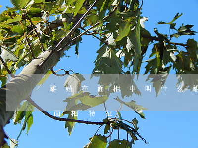 離婚在面相中叫什么(離婚面相:容易離婚的面相特征)