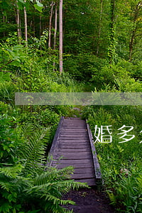 離婚多久可以處對象(離婚后多久可以談對象)