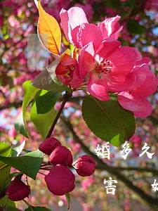 離婚多久會(huì)對(duì)孩子有傷害(離婚對(duì)孩子影響多大)