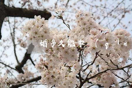 離婚多久能申請(qǐng)安居房