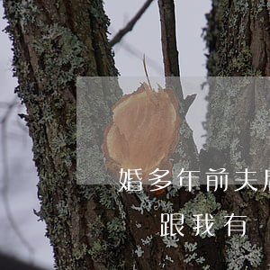 離婚多年前夫后來欠的網貸(離婚后前夫借了網貸跟我有關系嗎)