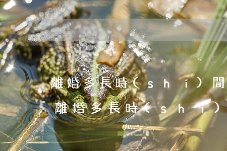 離婚多長時(shí)間可以復(fù)婚(離婚多長時(shí)間可以復(fù)婚)