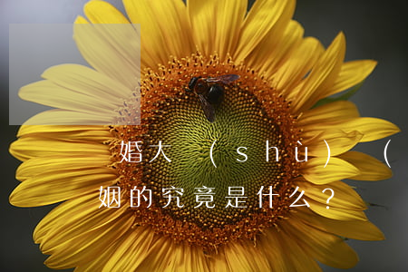 離婚大數(shù)據(jù)曝光：殺死婚姻的，究竟是什么？