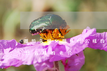 離婚天蝎女想找什么樣的男人(天蝎女適合找什么樣的老公)