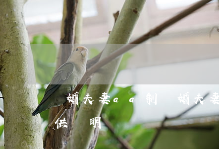 離婚夫妻aa制(離婚夫妻AA制離婚怎么提供證明)